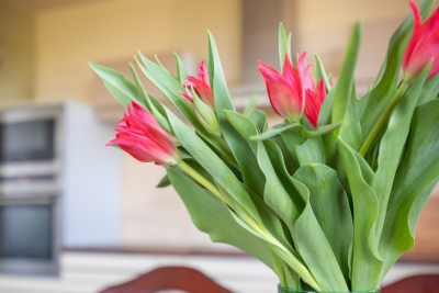 Home-Staging-Os-Rozane-Warzymice-004